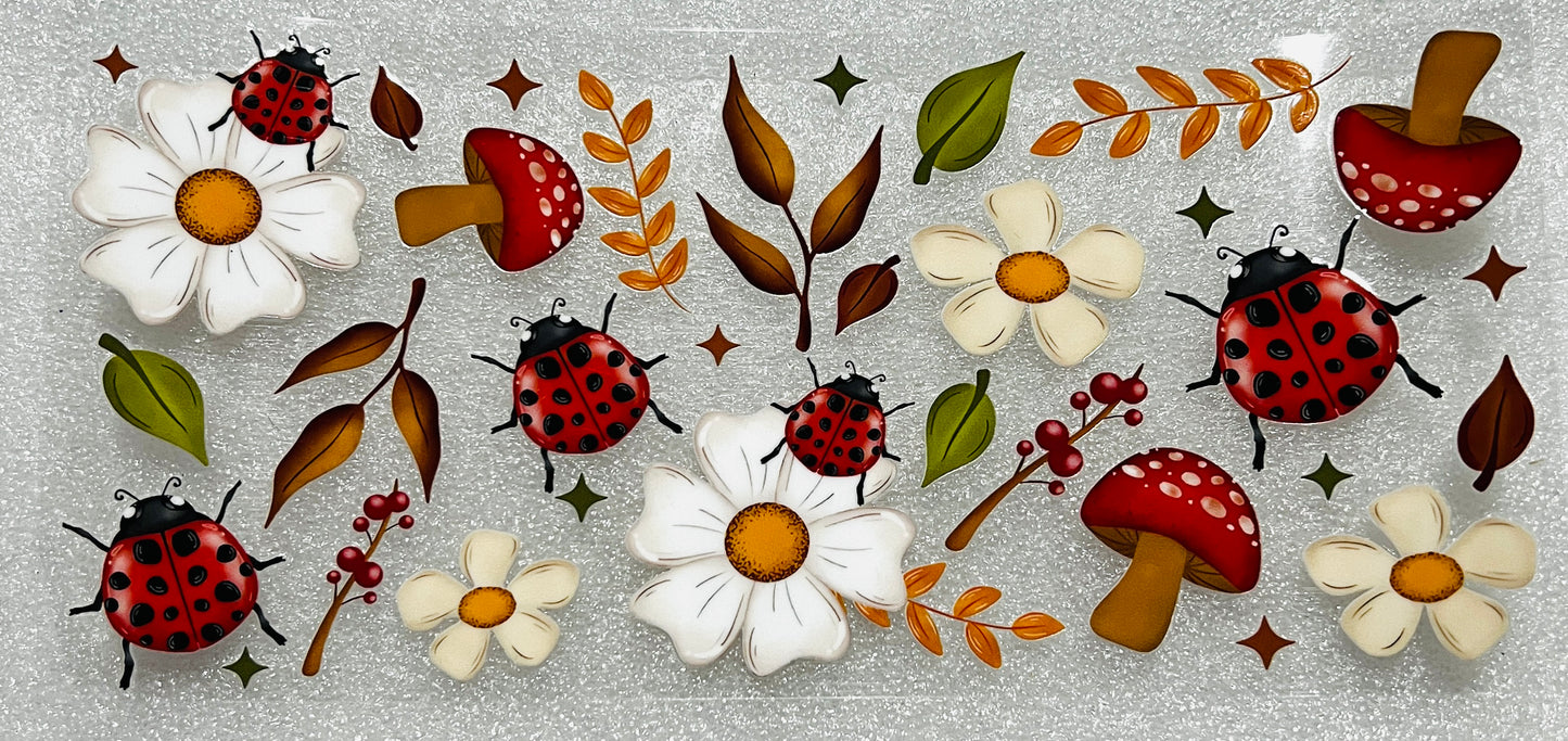 Animals, Butterflies, Insects etc