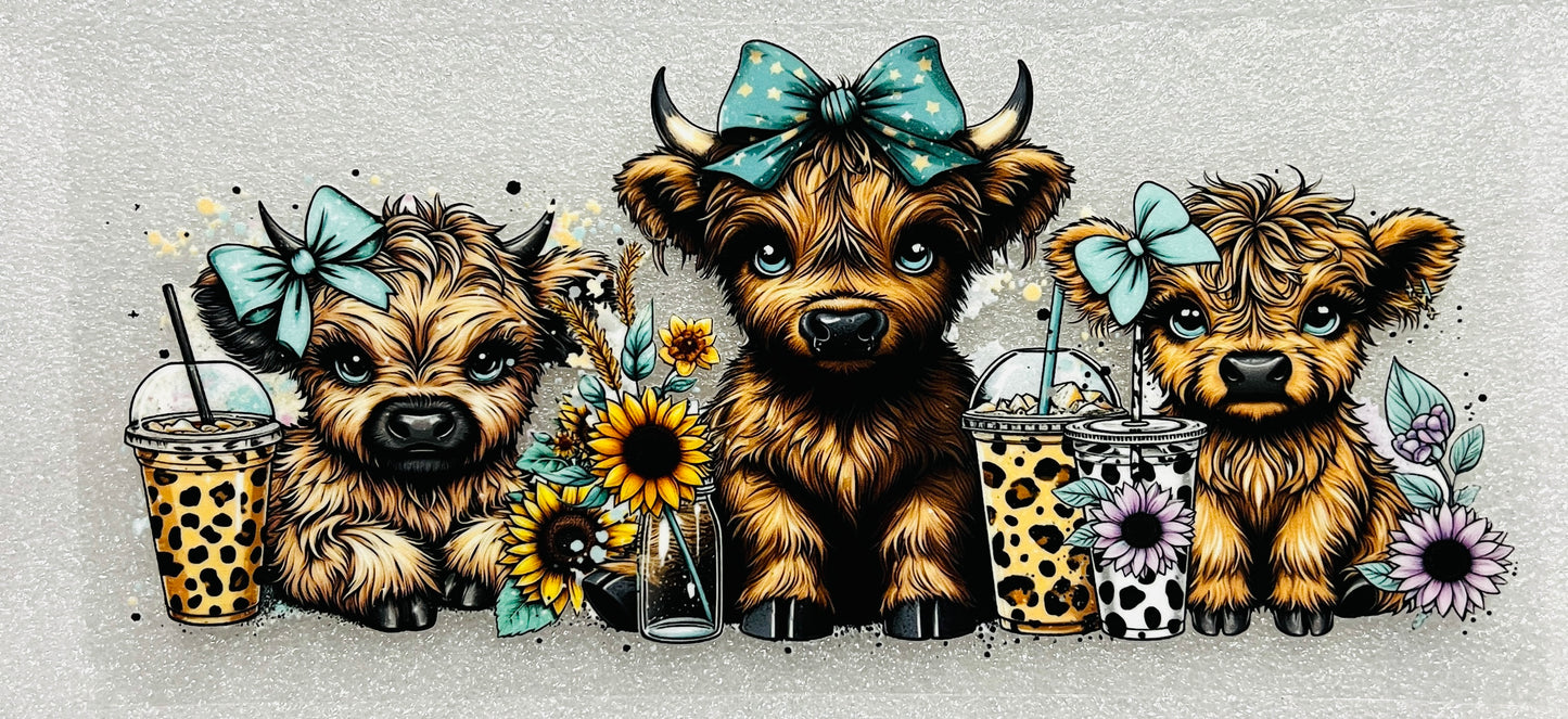Animals, Butterflies, Insects etc