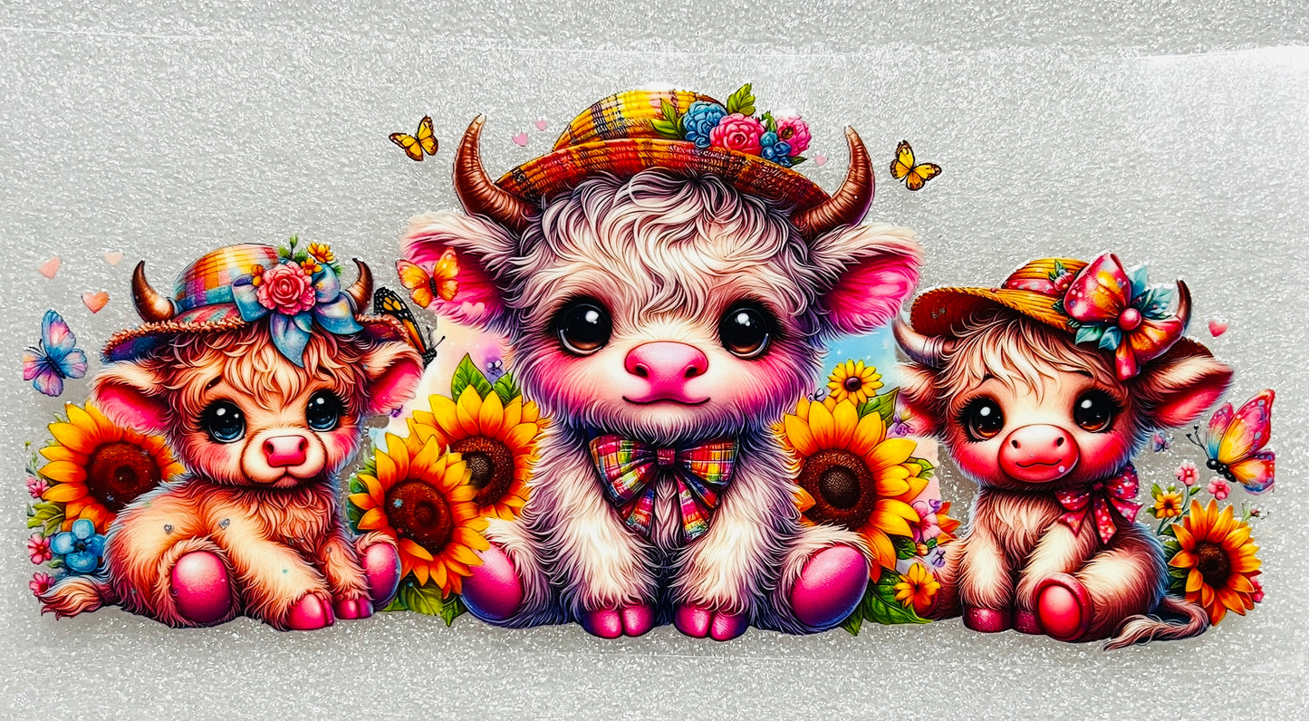Animals, Butterflies, Insects etc