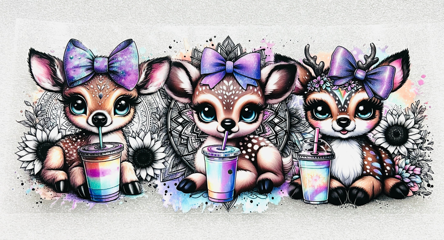 Animals, Butterflies, Insects etc
